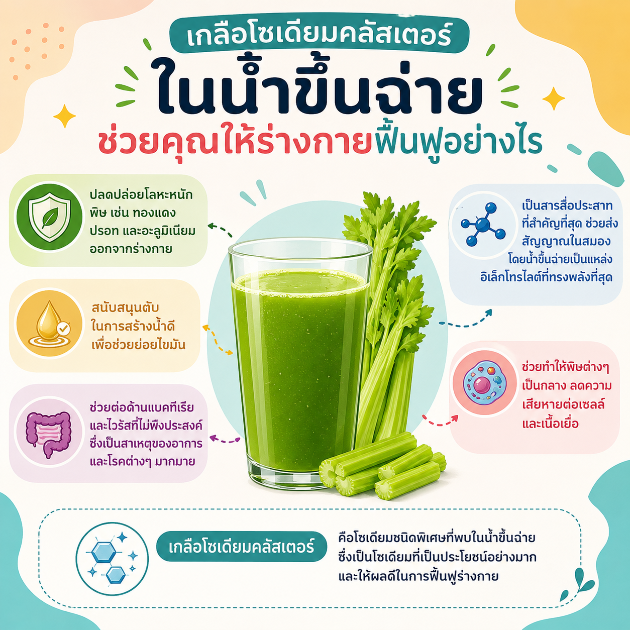 โซเดียมคลัสเตอร์ซอลต์ช่วยฟื้นฟูร่างกายได้อย่างไร?