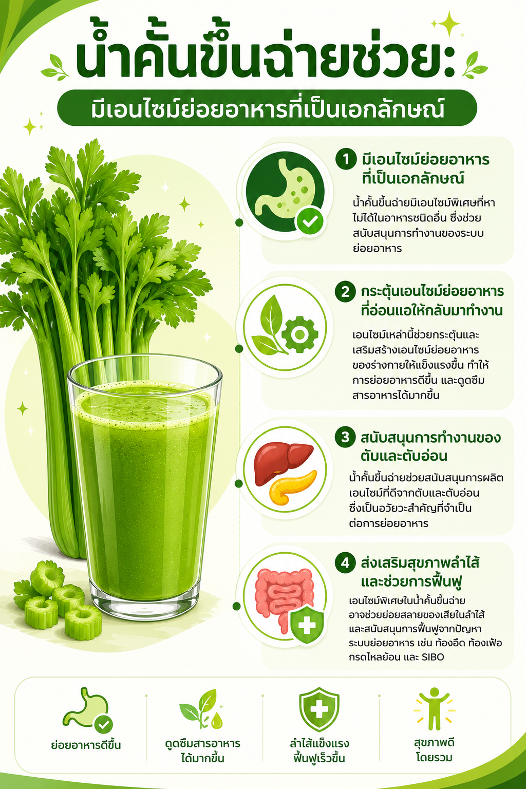 เอนไซม์ย่อยอาหารในน้ำคั้นขึ้นฉ่าย