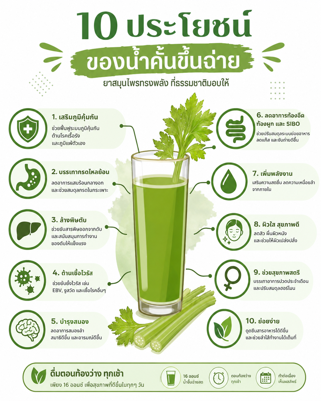10 ประโยชน์ของน้ำคั้นขึ้นฉ่าย